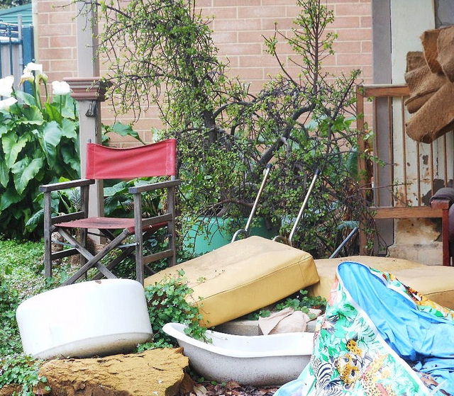 How to make neighbor clean up his yard