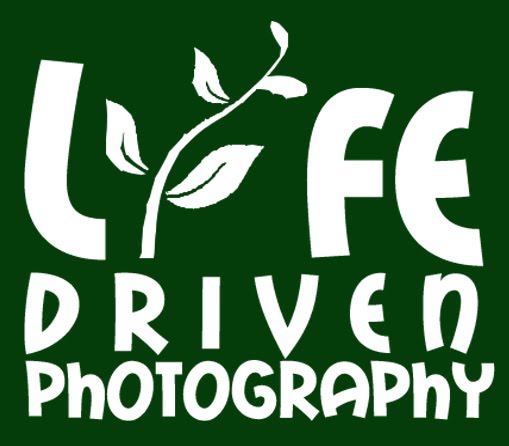 Life Driven Photography