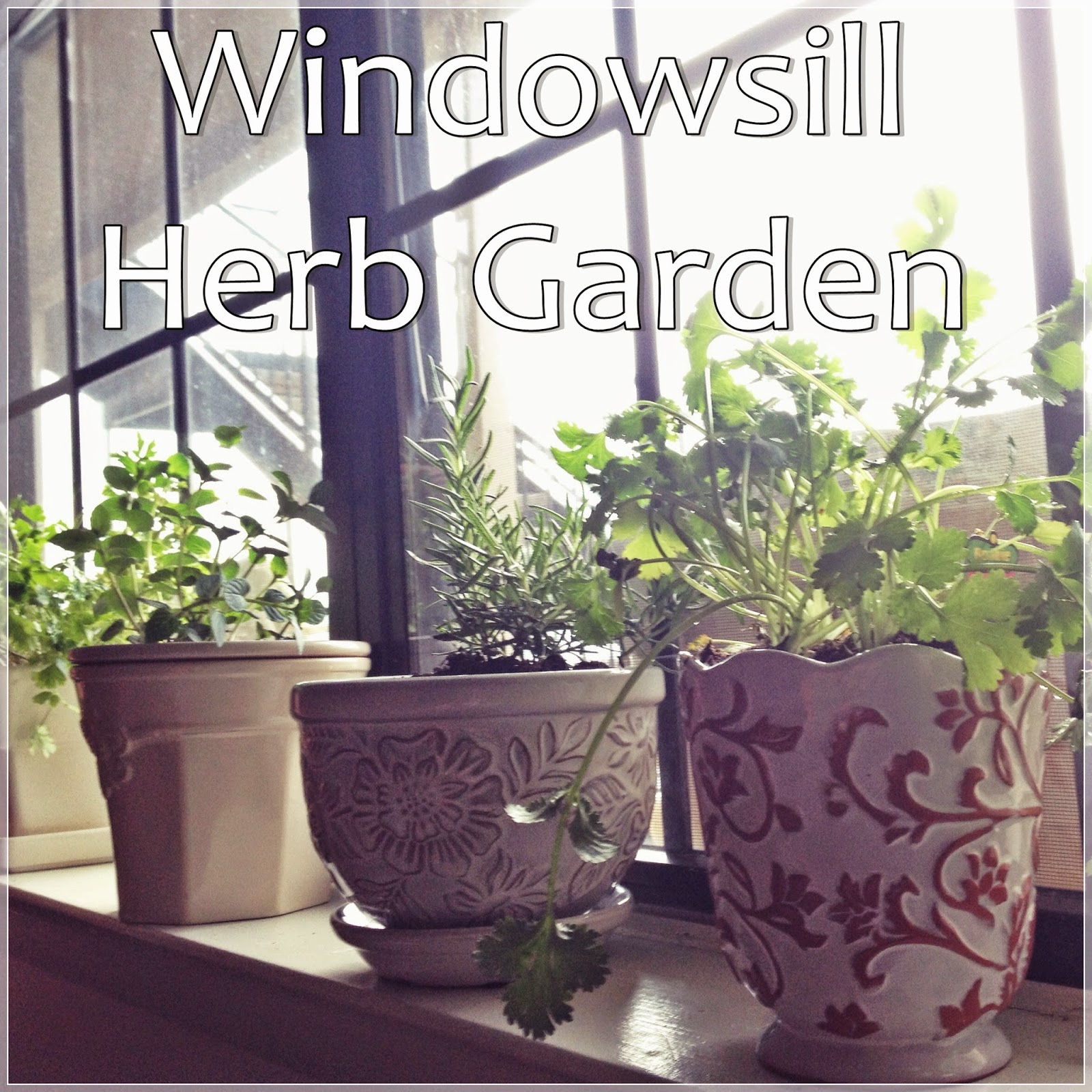 Let\u002639;s Drink Coffee, Darling: Windowsill Herb Garden