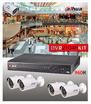 Sistemas de Video Vigilancia