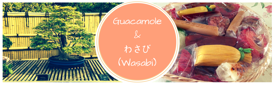 《Guacamole & わさび (Wasabi)》: Museo del Bonsái