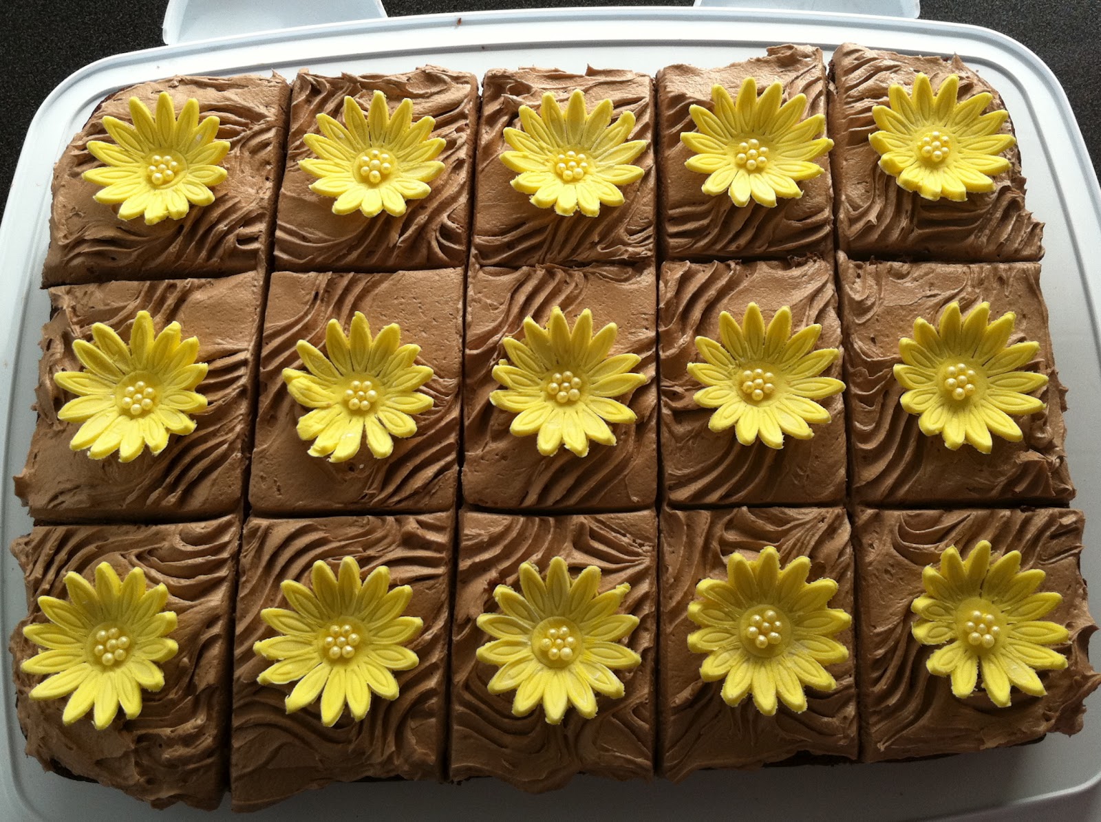 Kakebua's blogg Sjokoladekake i langpanne (Texas Sjokoladekake)