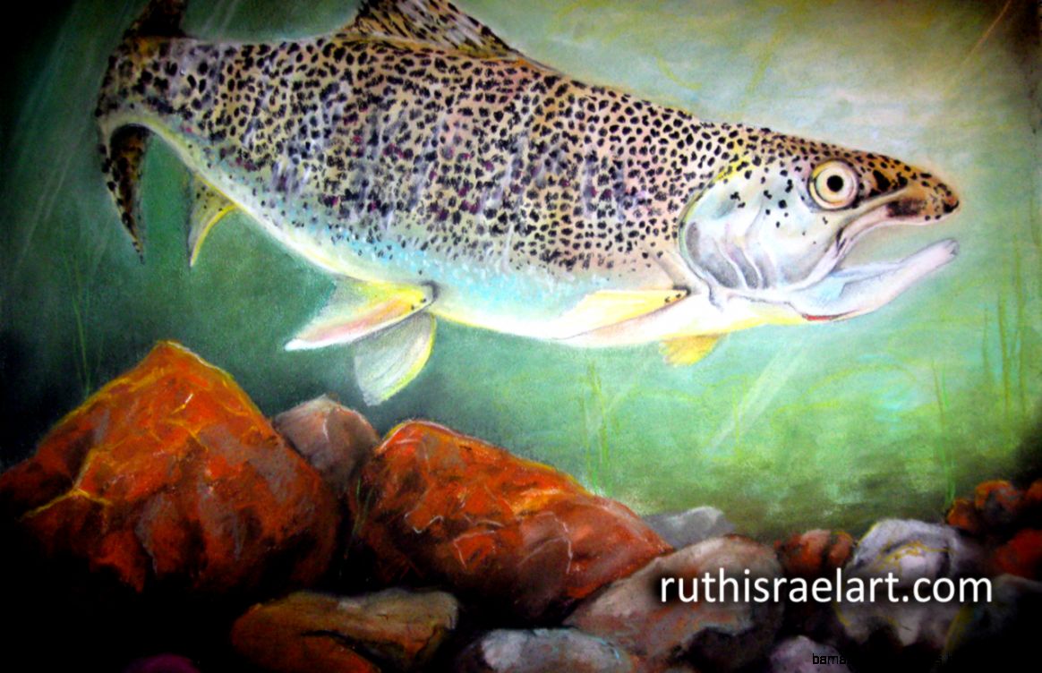 Rainbow Trout Free Wallpaper Ruth Israel   Ruth Israel Art Rainbow Trout Free Wallpaper Ruth Israel   Ruth Israel Art