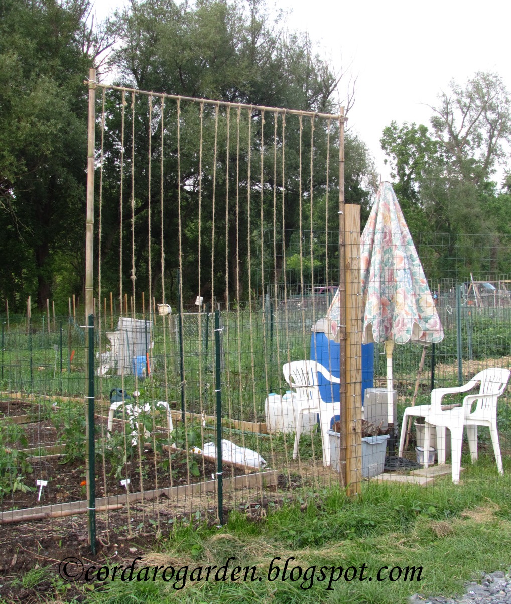 The Gardener of Eden Trellises at the Plots