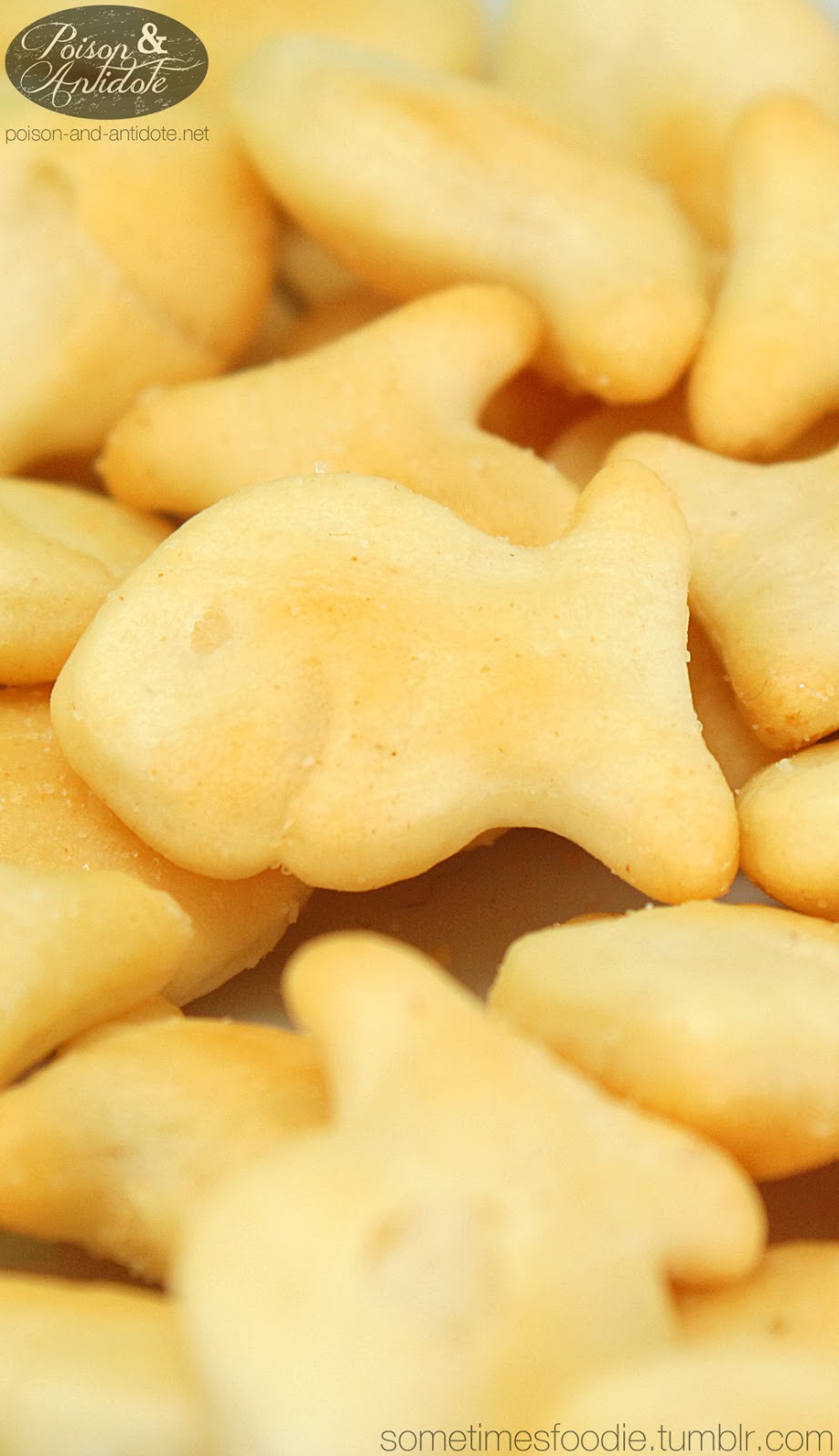 Sometimes Foodie Parmesan Goldfish Target Cherry Hill, NJ