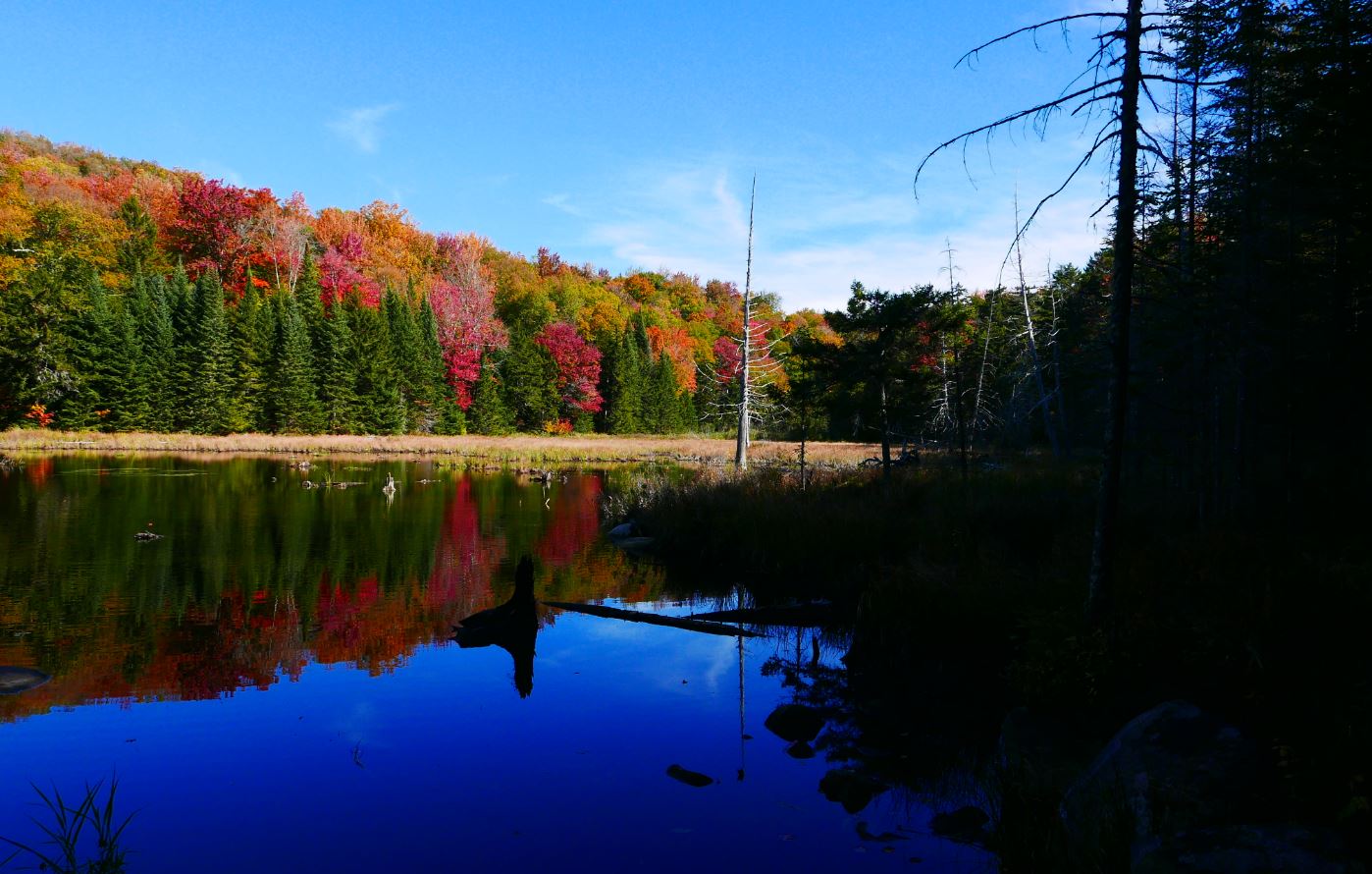 A Little Wild Santanoni Preserve Lake to Moose Pond