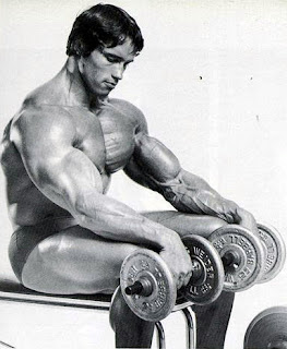 ARNOLD+BODYBUILDER+HUGE.jpg