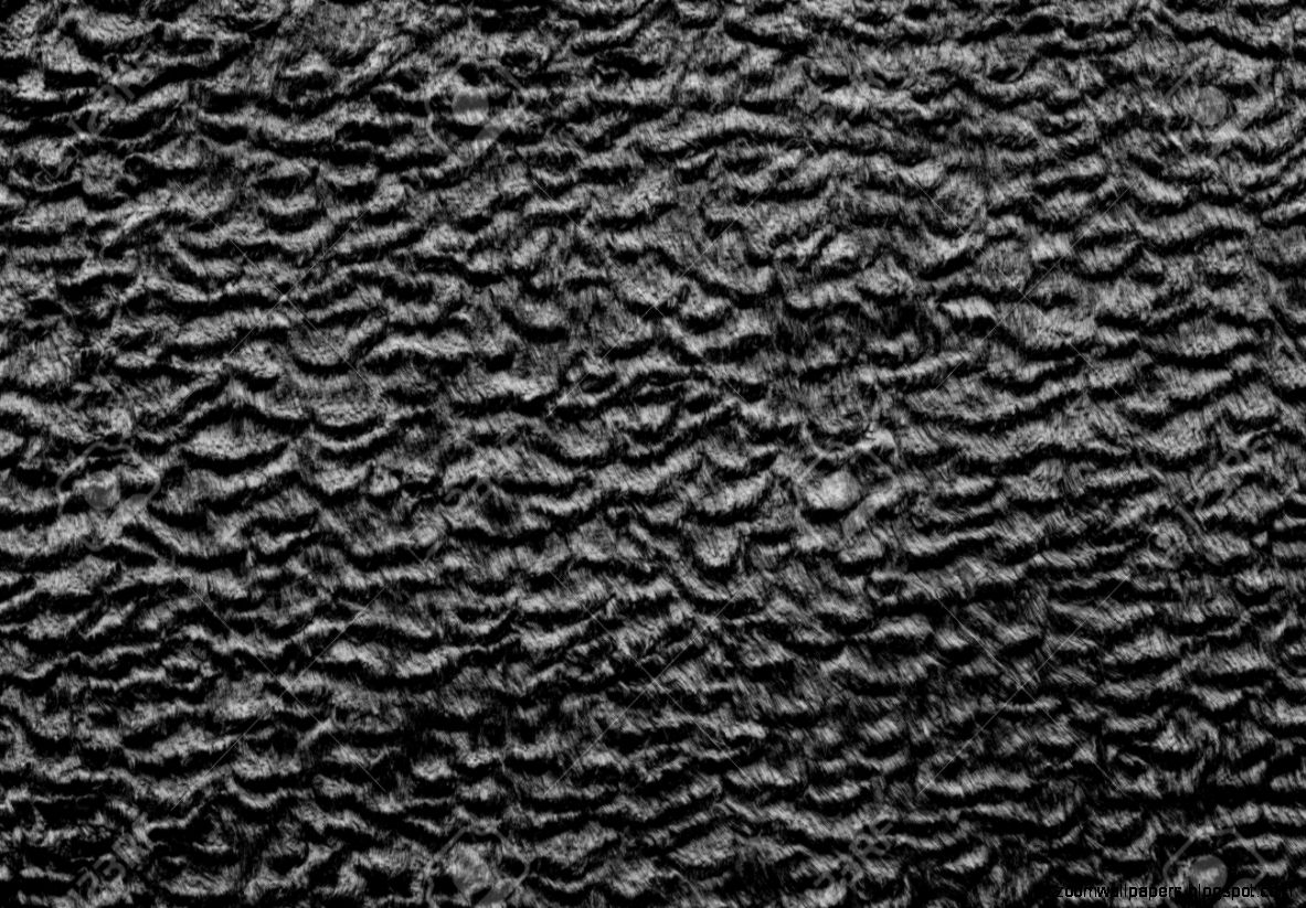 Abstract Texture Of Black Color Of Short haired Fur Fabric With Abstract Texture Of Black Color Of Short haired Fur Fabric With