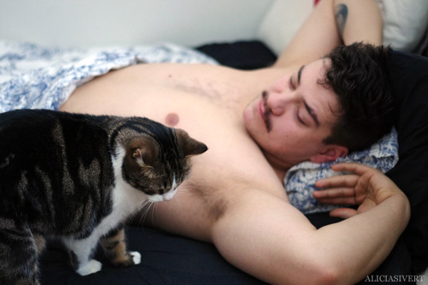 aliciasivert, alicia sivertsson, stevie the dog, steviesaurus, cat, katt, morning, morgon, Andreas, bed, säng