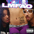 LMFAO - Sorry for Party Rocking (Deluxe Version) (Official Album Cover)