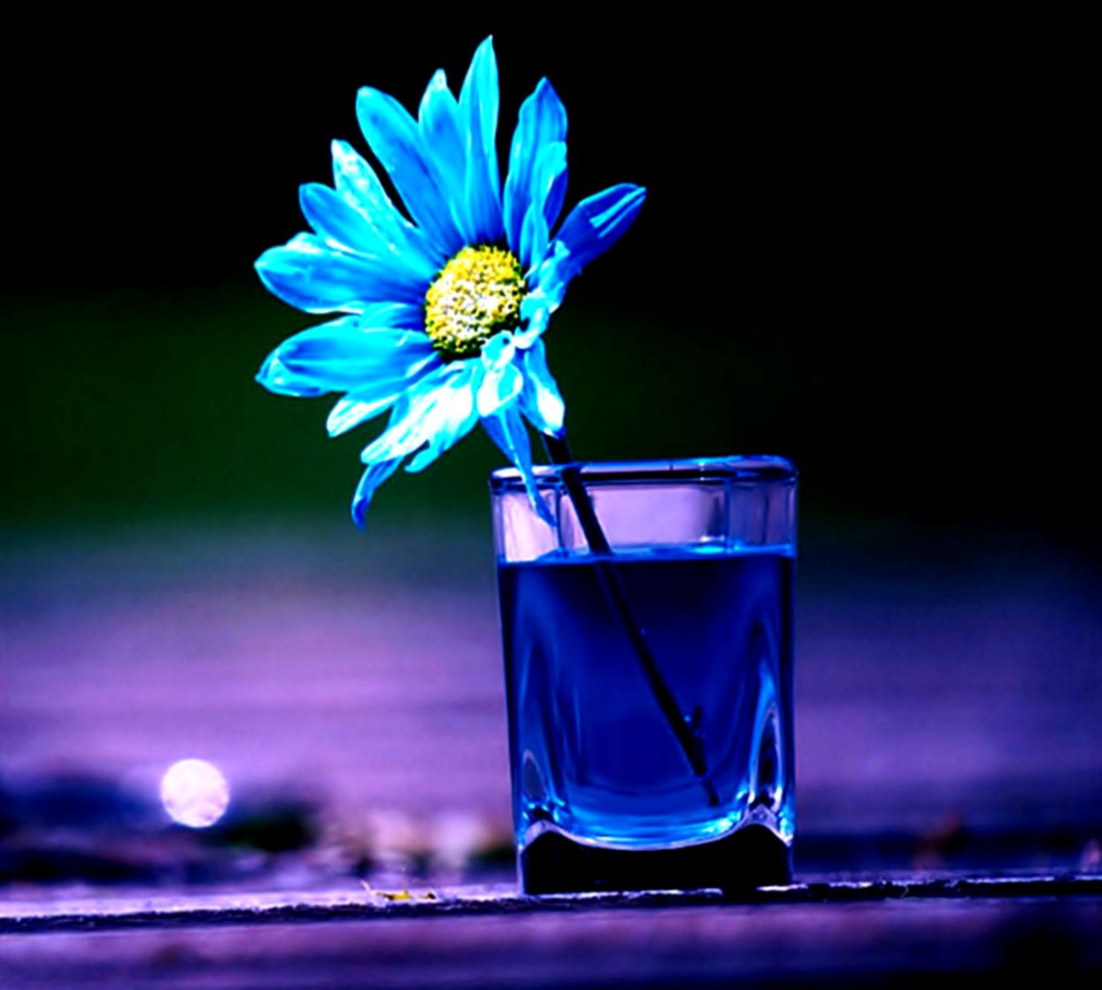 HD Wallpapers for Mobile Phones free download HD Wallpapers HD Pics HD Wallpapers for Mobile Phones free download HD Wallpapers HD Pics