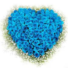 . LoVe BLuE rOSes .