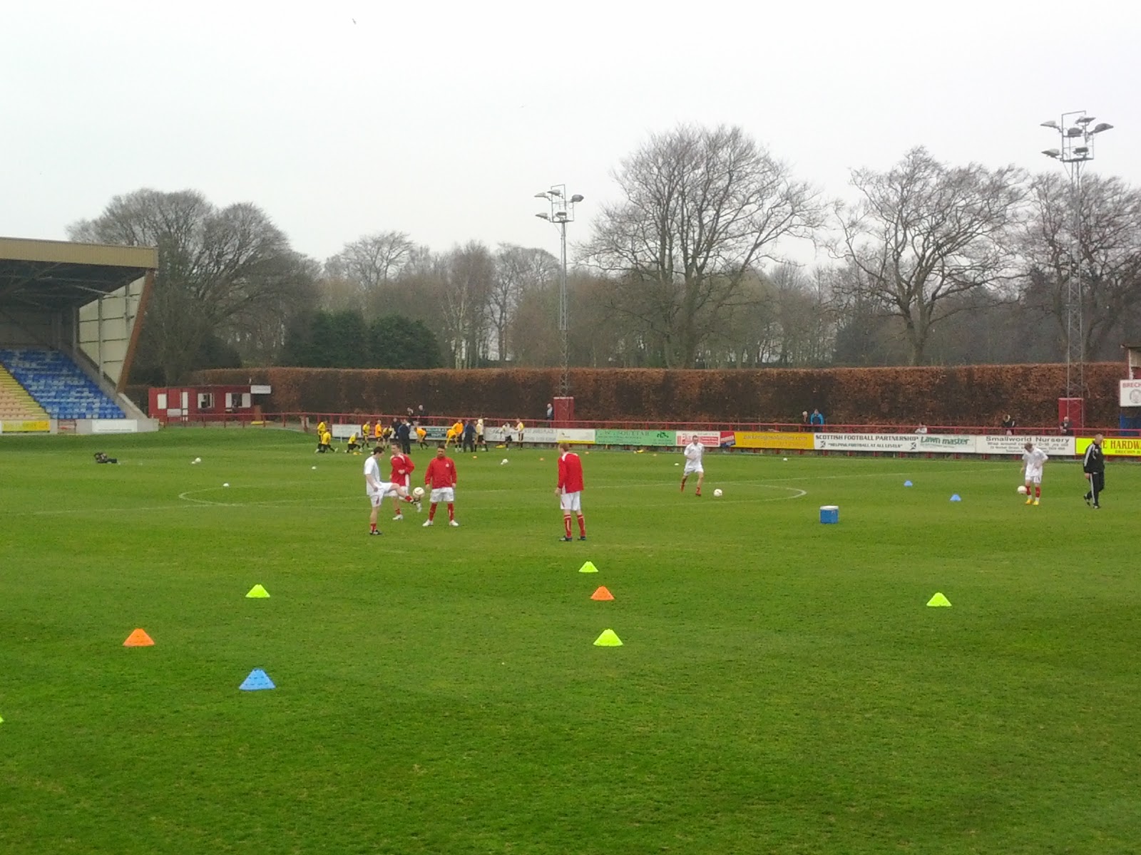 Brechin City Hedge