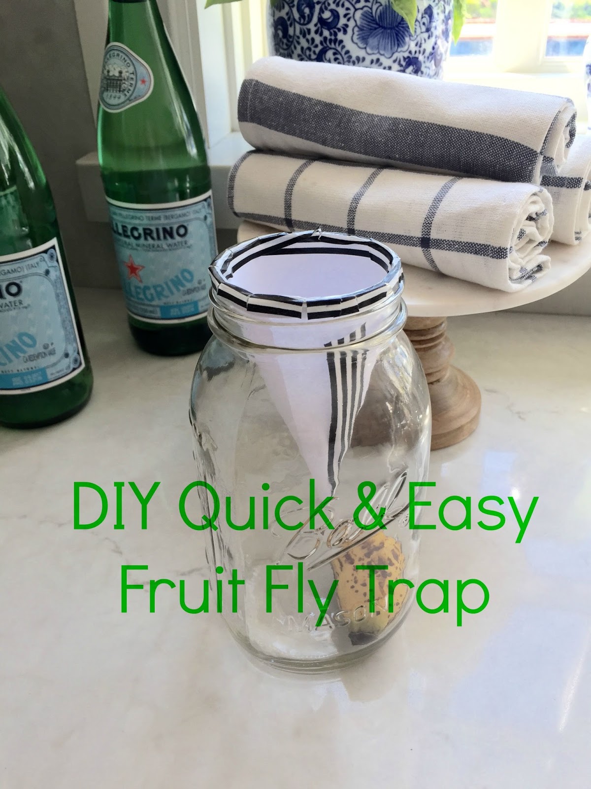 Eleven Gables DIY Quick and Easy Fruit Fly Gnat Trap