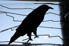 Raven in the Window