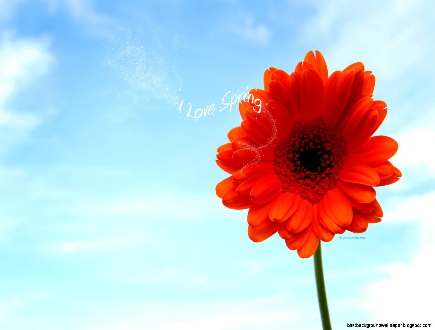 Free Spring Wallpapers by Free Spring Wallpapers by