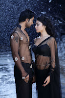 Shriya, Saran Latest, Hot, Pics free download, hq resolution images