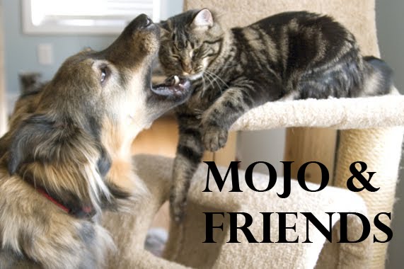 Mojo and Friends