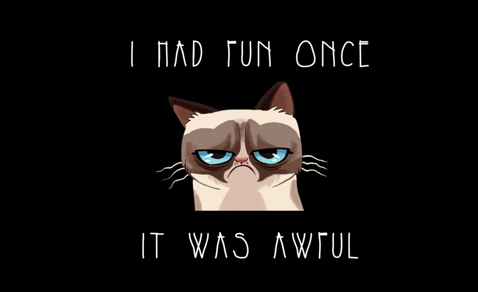 Grumpy Cat Quotes Funny Grumpy Cat Quotes Funny