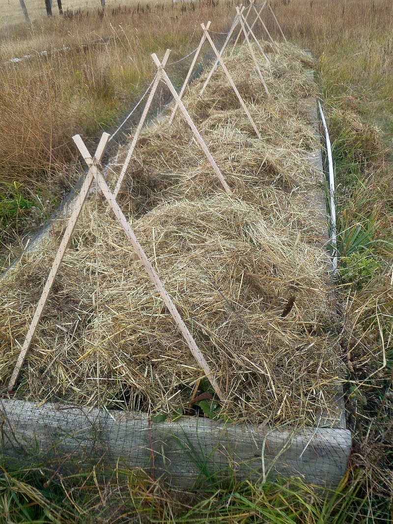 Rural Revolution Bedding down for the winter