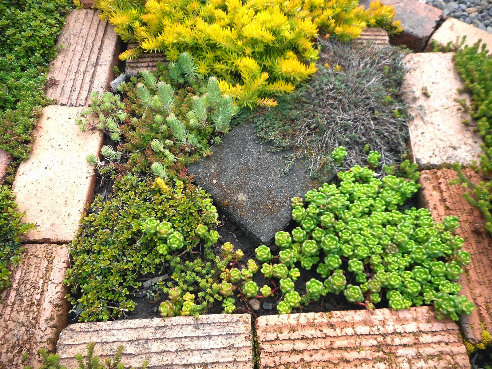 Tone On Tone Interior Garden Design In The Limelight