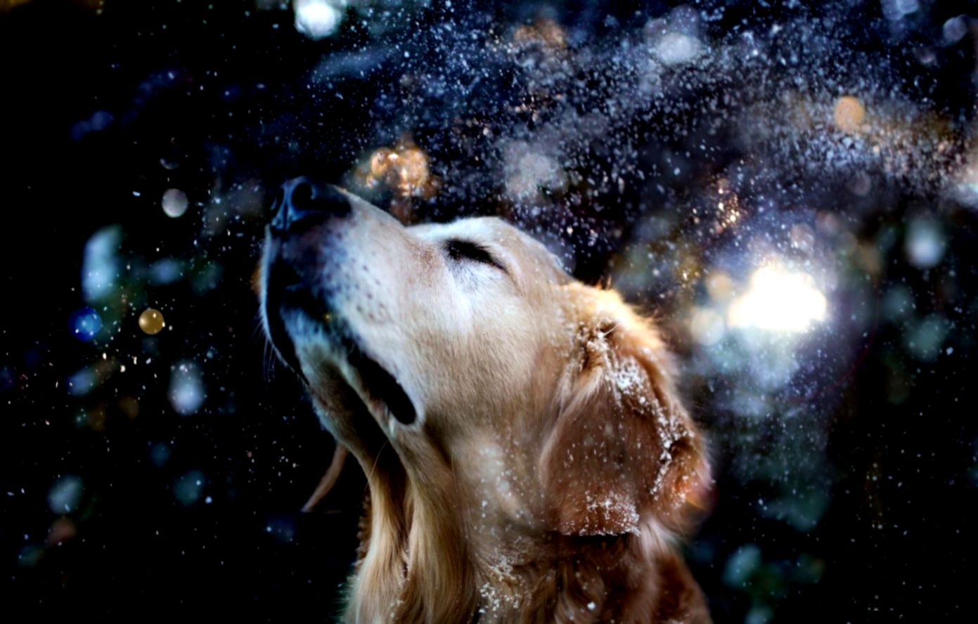 Macro Photography Water In Motion Wallpaper All HD Wallpapers Macro Photography Water In Motion Wallpaper All HD Wallpapers