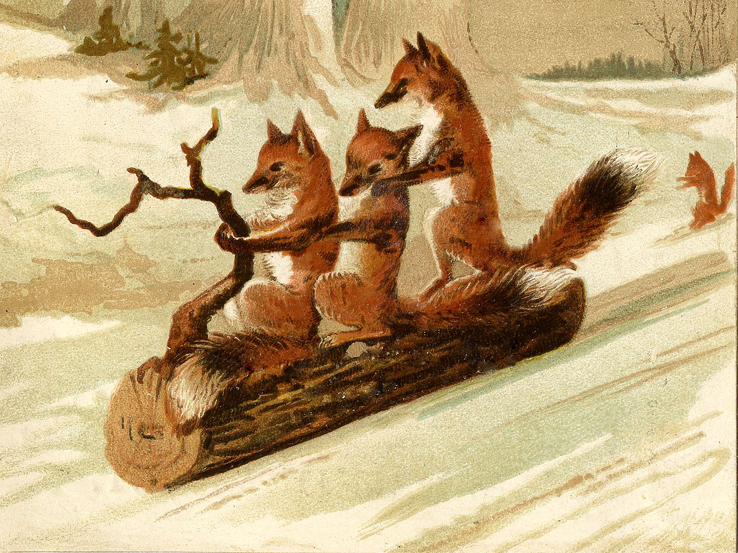 FoxesOnLog-GraphicsFairy.jpg