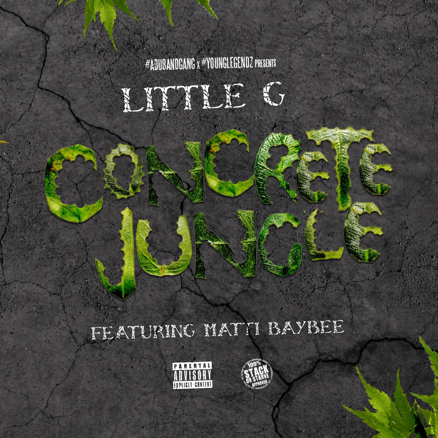ValleyTV [Single] Little G (Feat.Matti Baybee) Concrete Jungle