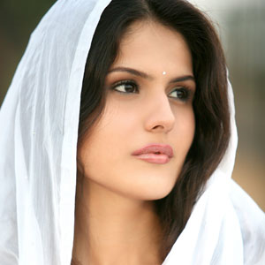 Fashion & Life Style: Download_zarine-khan-glorious-Sexy_saree_pocture