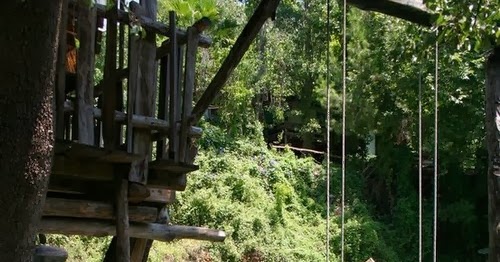 Swimming Pool That Looks Like A Pond Complete With Swing