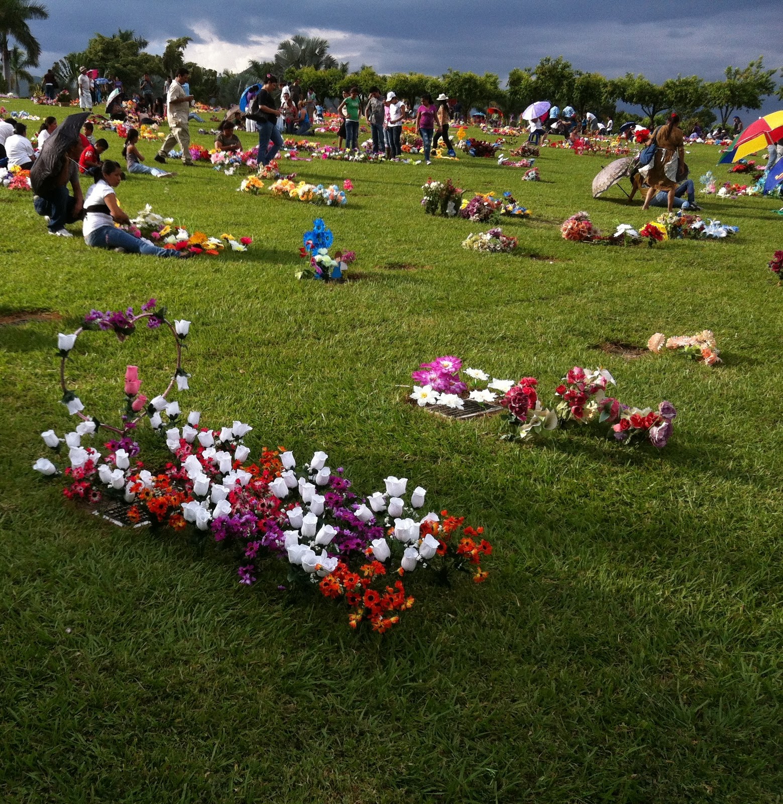 parque jardin los olivos blogger