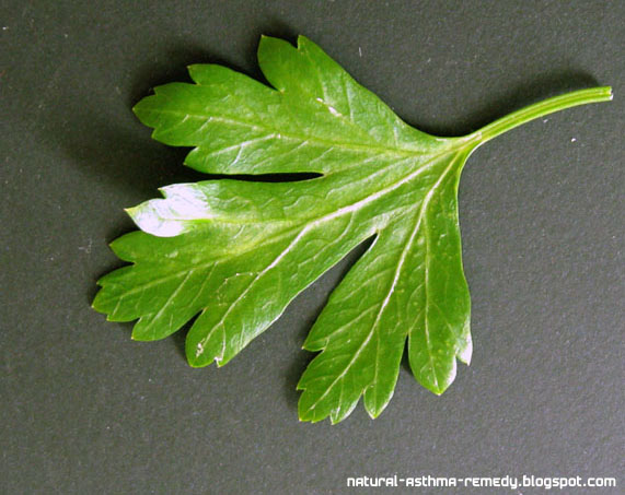 the advantages of taking herbs as Some herbs take longer to infuse with this method, but most only require herbal teas can also provide many more outwardly evident benefits. the advantages of taking herbs as Some herbs take longer to infuse with this method, but most only require herbal teas can also provide many more outwardly evident benefits.