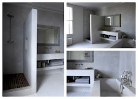 Decoración Ideal: Baños de concreto pulido.