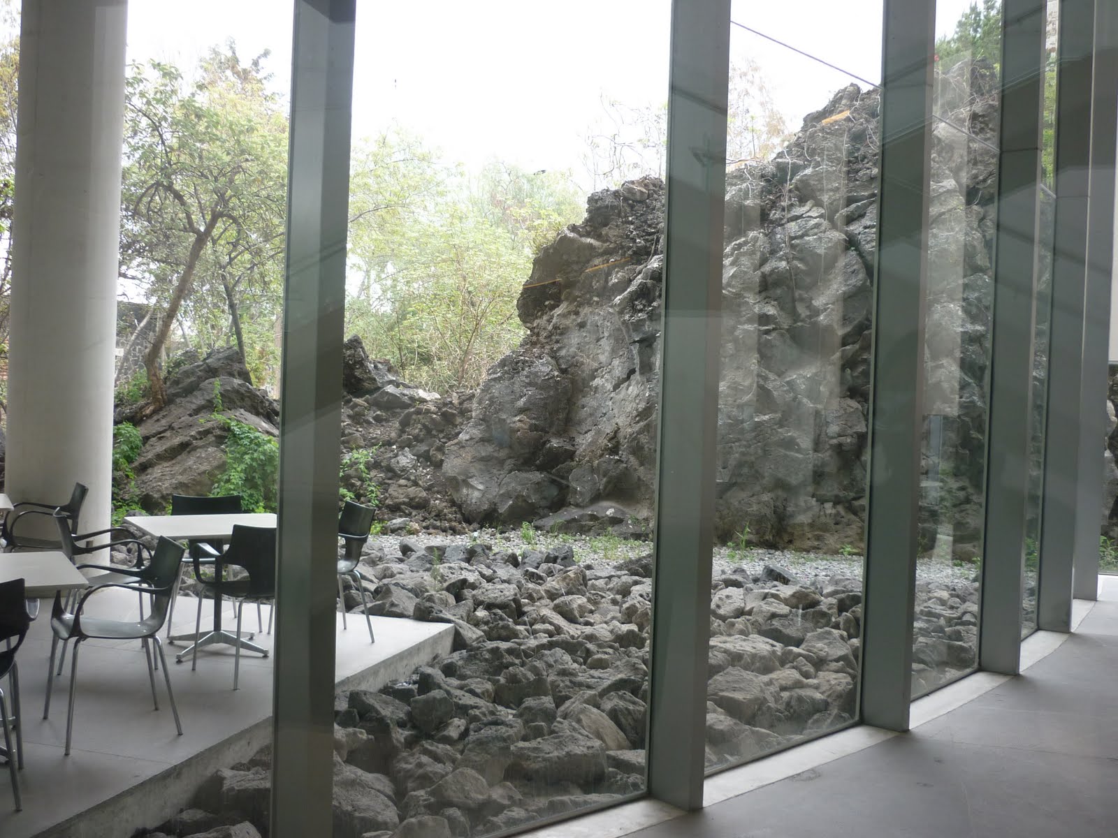 Azucena Nube Siete (Restaurante MUAC)