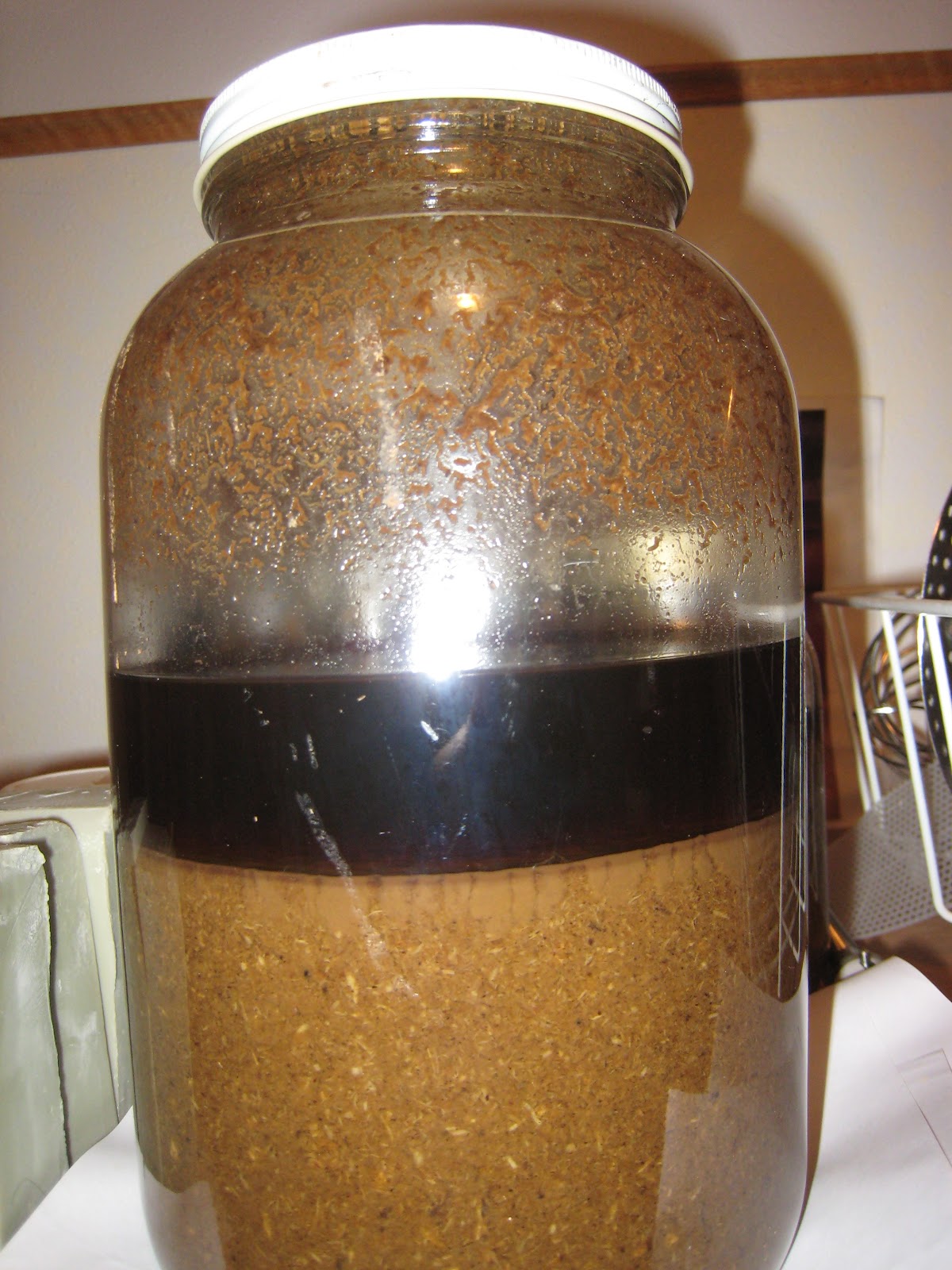 Dreaming A Beautiful World How to Make Fresh Echinacea Purpurea Tincture