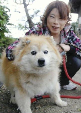 Muere en Japón el perro más longevo del mundo con 26 años y 9 meses Oldestdog+Pusuke-ancora-sano-25-anni