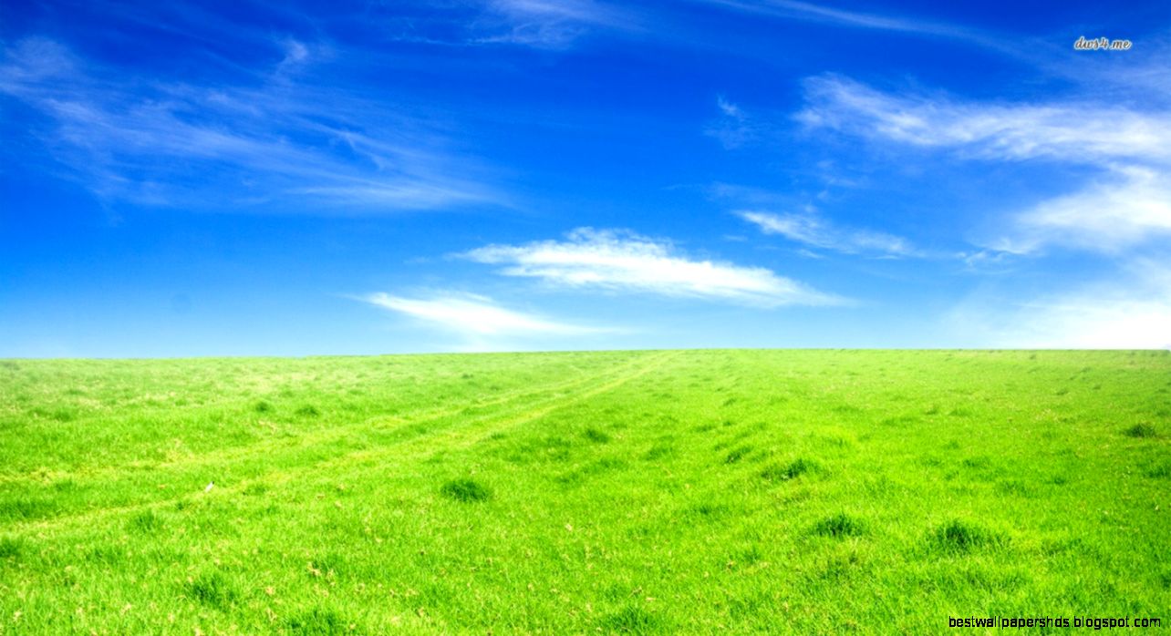 Green field wallpaper Nature wallpapers 2594 Green field wallpaper Nature wallpapers 2594