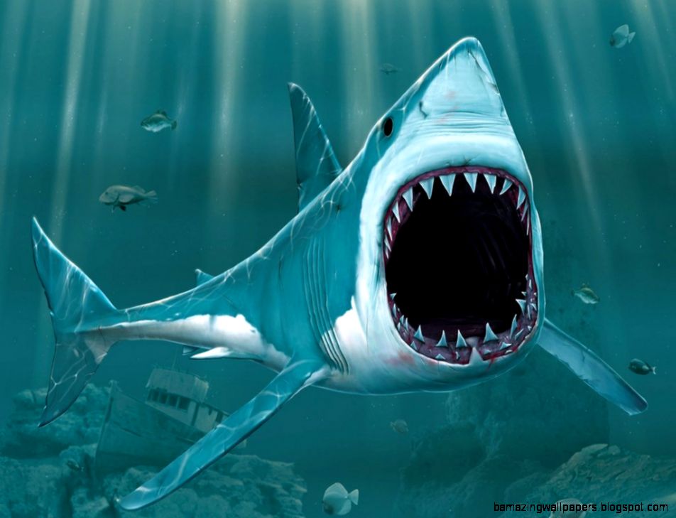 Shark Wallpaper 3d 17101 Hd Wallpapers in Animals Shark Wallpaper 3d 17101 Hd Wallpapers in Animals