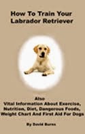 Labrador Training