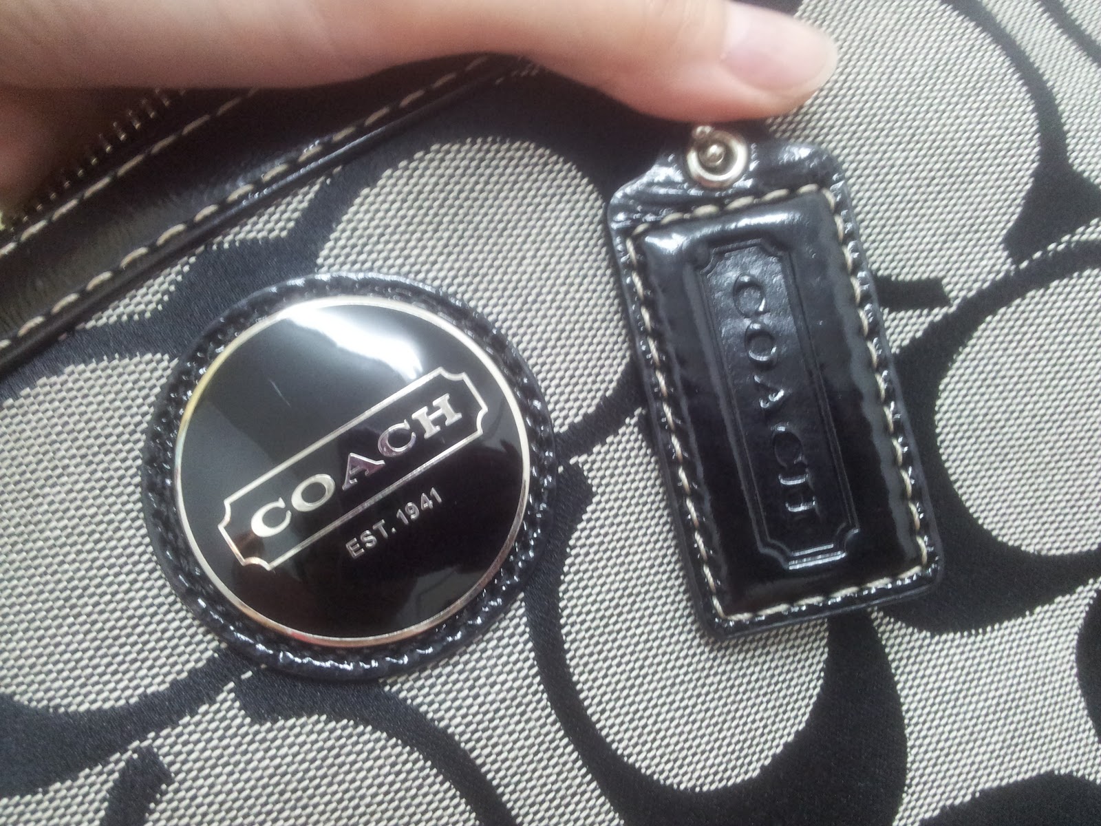 Souled Sisters (SOLD) Coach Signature Stripe Tote