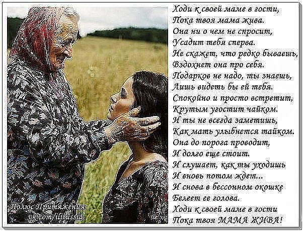 Береги маму она у тебя одна стих Береги маму она у тебя одна стих
