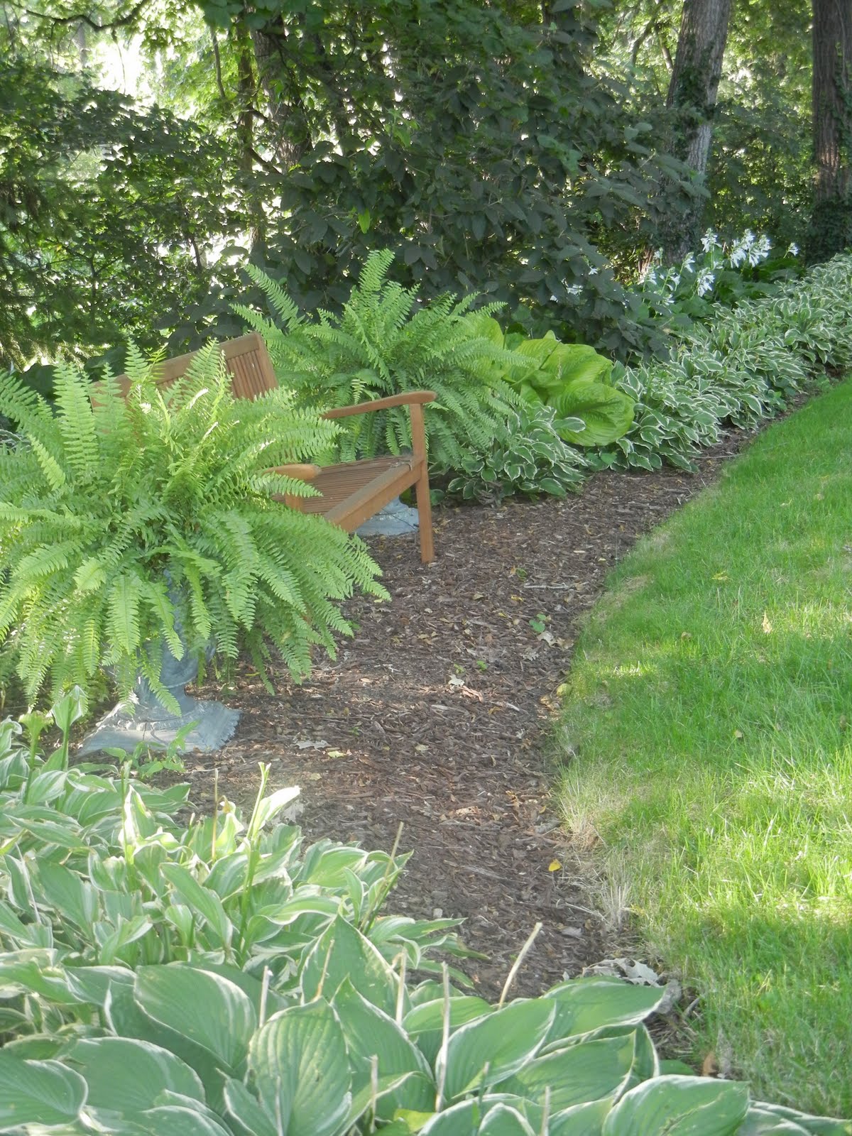 The French Tangerine kelly's garden