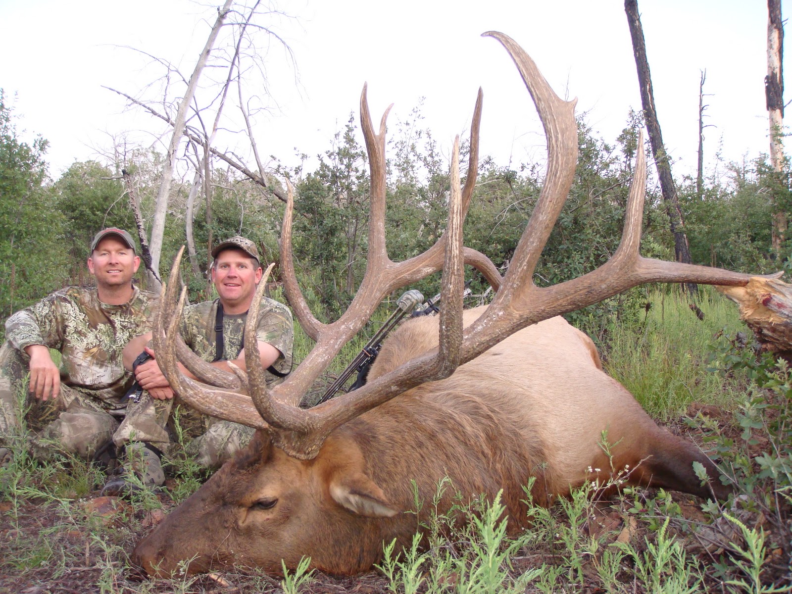 Colburn and Scott Outfitters Arizona Elk Hunts