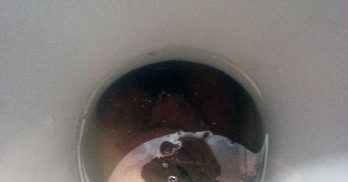 Johanna's pooping blog: A brown one in the toilet