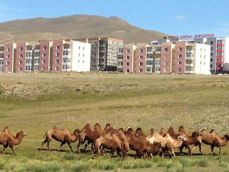 Ulaanbaatar a city of contrasts