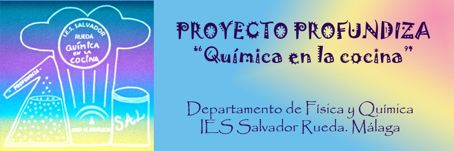 PROYECTO PROFUNDIZA "QUÍMICA EN LA COCINA"