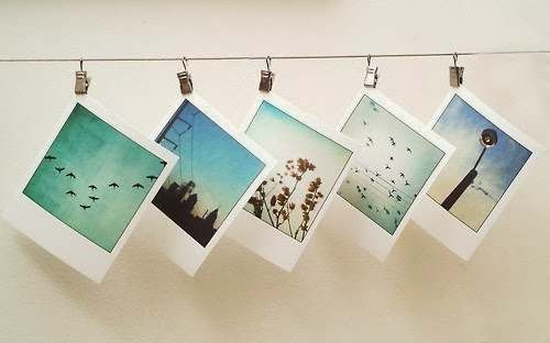moodboard,blue lagoon,le lagon bleu,the mood,dentelle,coquillage,plamier,turquoise