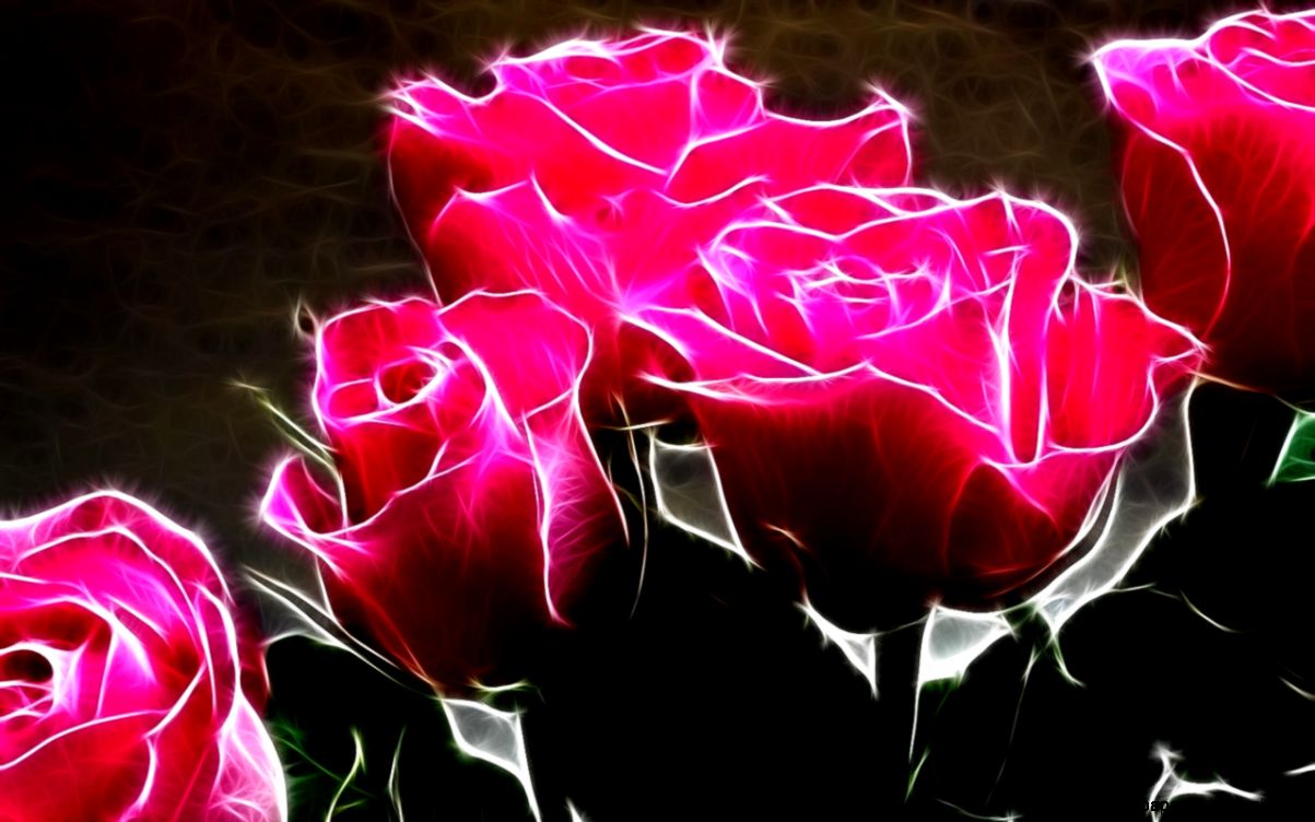 Hot Pink Rose Wallpapers Hot Pink Rose Wallpapers