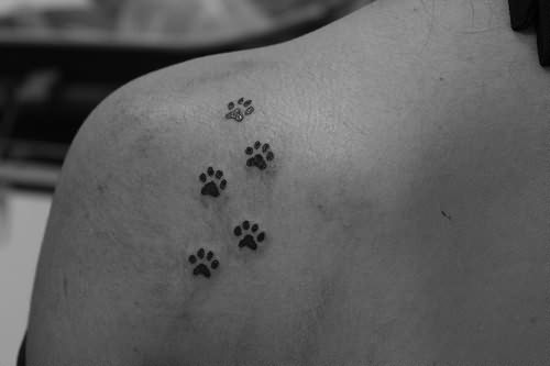 My Tattoo Designs: Cat Footprint Tattoo