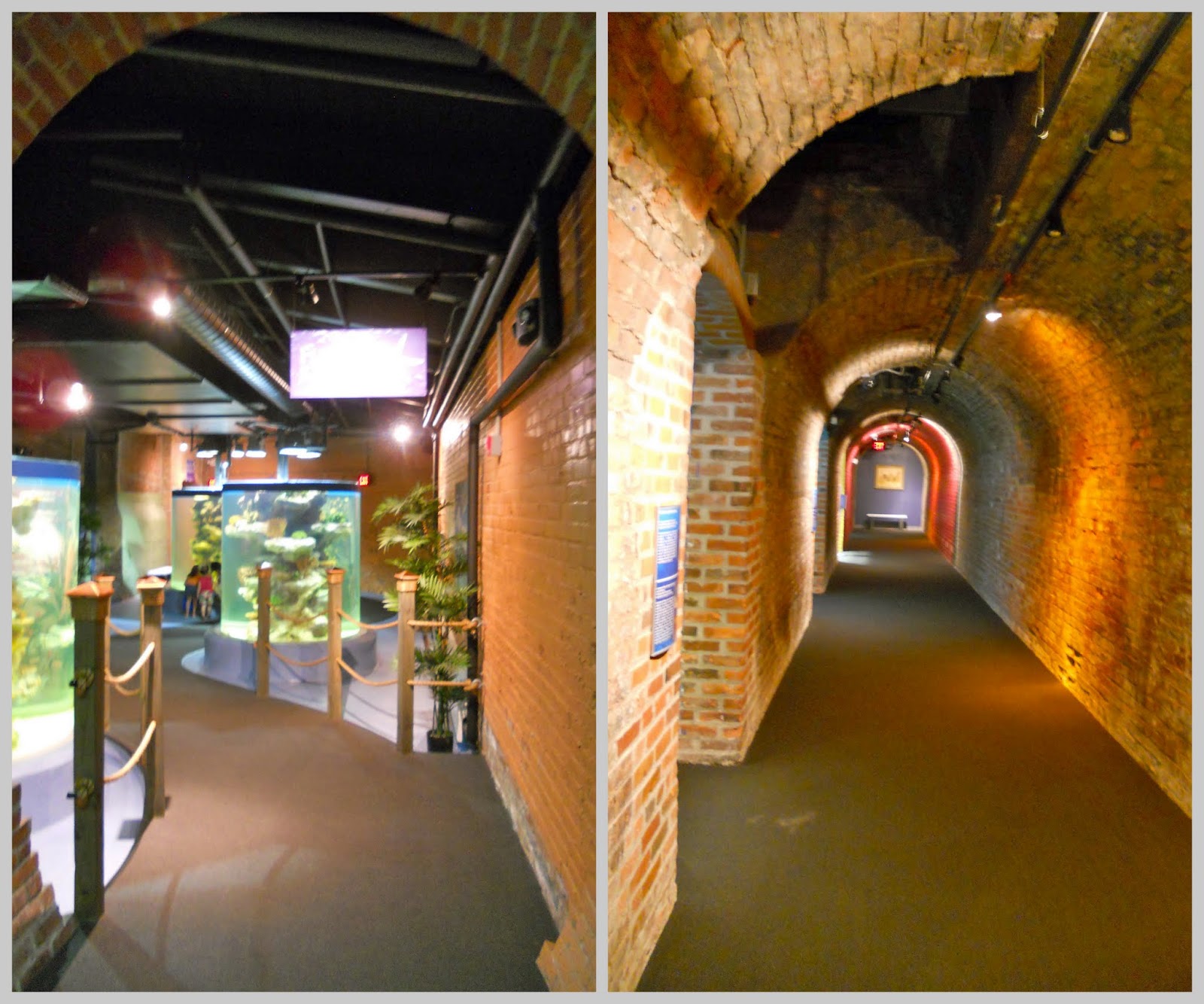 SMITTEN...in cleveland Visiting The Greater Cleveland Aquarium